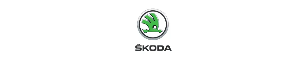 Jantes Skoda