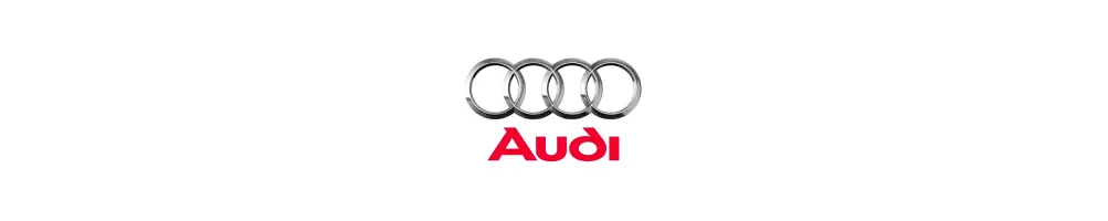 Jantes Audi